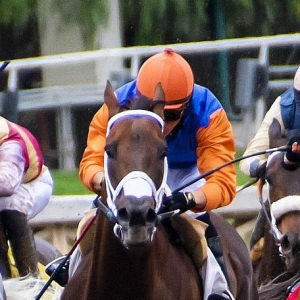 Horse Race