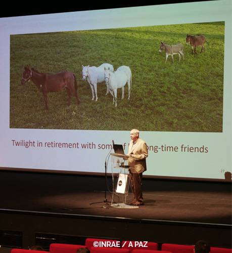 Dorothy Russell Havemeyer 14th International Horse Genome Workshop