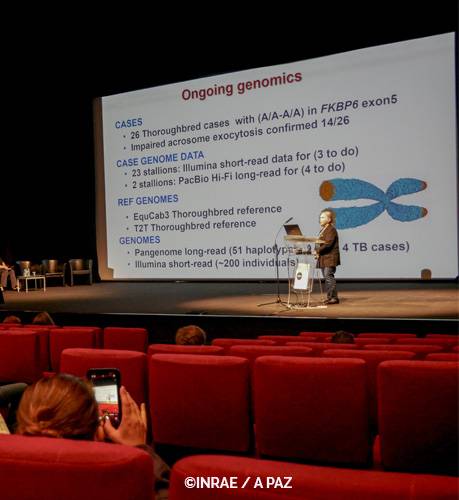 Dorothy Russell Havemeyer 14th International Horse Genome Workshop