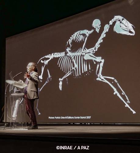 Dorothy Russell Havemeyer 14th International Horse Genome Workshop