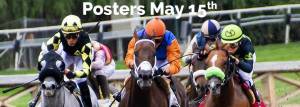 Posters May 15th morning