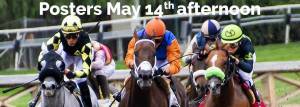 Posters May 14th afternoon